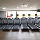 오렌지 휘트니스 이미지