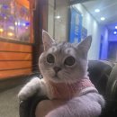 몽글몽글 이미지