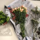 하나로 플라워 수족관 이미지