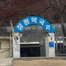 카페인중독논산 이미지