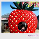 돈돌이농장 이미지