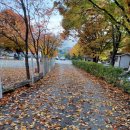 구름펜션민박 이미지