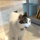 잼툰