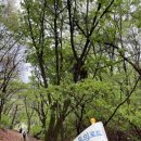 여강길(11코스 동학의길) 이미지