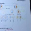 염색체 수 이상 돌연변이 질문입니다 이미지