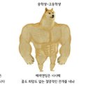 조개터로 이미지
