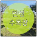 안중장례문화센터 | 안성 수목장 분양가 확인하고 현장 방문 예약까지 한 번에