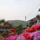 금강사 입구 이미지