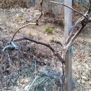 우천농장 이미지