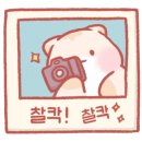 비비노아 이미지