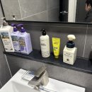 사라보래 이미지