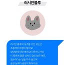 고양이 별 이미지