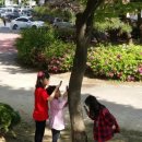 송강마을작은도서관 이미지