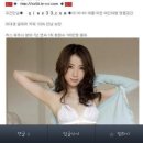 <b>시크</b><b>폭스</b>