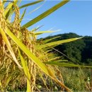 9단지우리공인중개사사무소 이미지