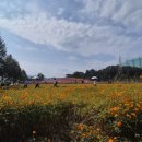 신소양체육공원화장실(주차장) 이미지