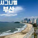 살롱 드 부산 1023 | [시그니엘 부산] 살롱드 시그니엘, 조식, 피트니스 헬스장 이용시간 비투숙객 이용