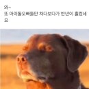 클리닝모니터