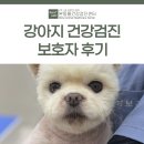 GS25달서본동점 | 강아지 건강검진 보호자 후기 [대구동물건강검진센터/본동물건강검진영상센터]