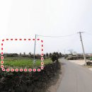 한림읍사무소 이미지