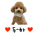 폴리파크 서면점 이미지