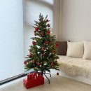 제주에선 쪼끌락 이미지