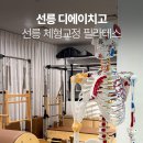 코어 자세교정 / 강좌번호 31 | 선릉 필라테스 디에이치고 체형교정 1:1 후기 (w.도이강사님)