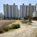 양덕 물빛공원 이미지