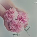 늘푸른요양원 이미지