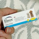 엘비트 | 푸들 눈물자국 관리템💧 영국 강아지 아이드롭 엘녹스 안구저자극 테스트를 거친 눈 세정제 후기