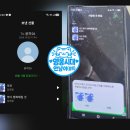 셀프다삭 이미지