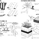 무 파종하는 방법 이미지