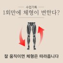 도봉-쌍문-도봉-1216 | 쌍문피티, 1회 만에 체형 개선?