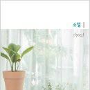 소설 - 양승본 『암만유, 그렇구 말구유』 이미지
