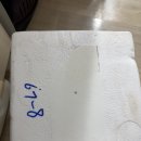 뚱보수산 | 농라 뚱보수산🦪🐚