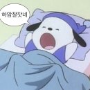 남원고시원 | [25.12.27-29] 제주 혼여행 Day 1.5 / 표선 / 동문시장 / 도토리게스트하우스 / 길갈팜랜드 / 표선보말...