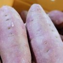 배달야채