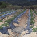 경희농원 이미지