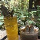 숲속한옥 | [청수당 베이커리] 종로 익선동 숲 속 한옥 베이커리 까페 분위기맛집