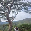 바랑재 | 산행 기록 ː 전북 진안 구봉산 / 구봉산주차장 - 바랑재 - 9봉~1봉 역방향 등산코스