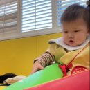 딩동댕 플레이 키즈스쿨(8~14개월) 이미지