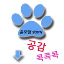 윤오 케이스 | 엘리샤코이 올웨이즈 누디 씨씨크림.