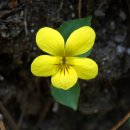 밤골샘터 이미지