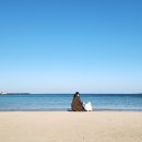 종합터미널4 이미지