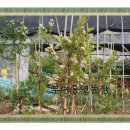 홍연농장 이미지