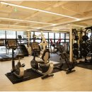 바디미라클 이미지