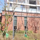 금돼지공인중개사사무소 이미지