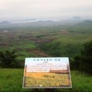 제주삼읍도총지도 이미지