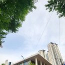 임춘길 | 뮤지컬 슈가 부산 공연 솔직 후기 부산 시민회관 좌석 꿀팁 커튼콜 촬영 정보