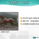 석성목장 이미지